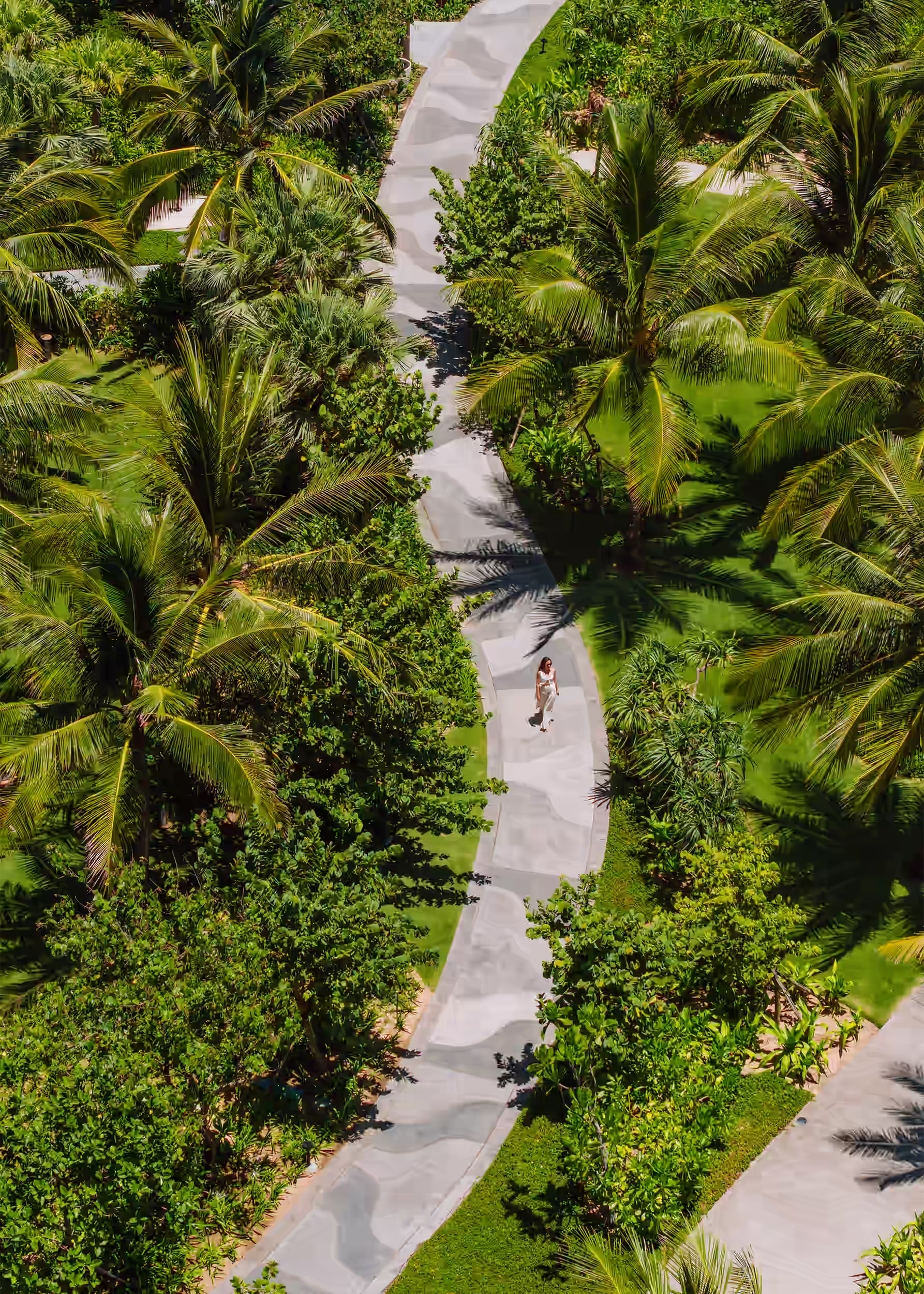 Set where golden coastline meets your natural rhythm, Hoiana flows with whatever draws you most. The pull of morning waves, the call of jasmine-scented breezes, or simply the instinct to slow down and breathe—this stretch of Vietnam's central coast responds to how you feel, not what you planned.