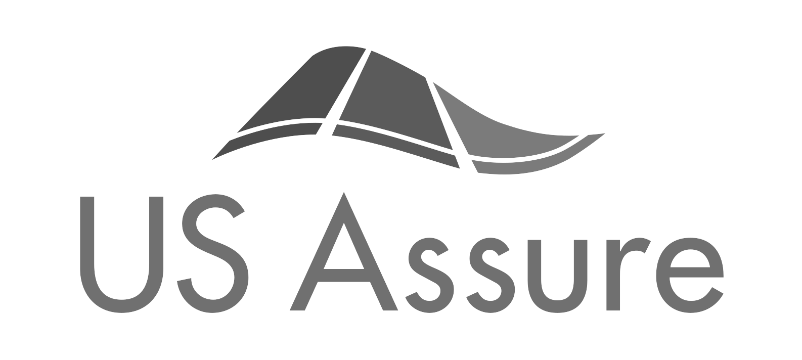 US Assure  grey logo