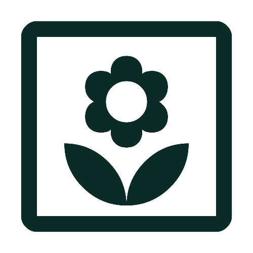 flower in box icon