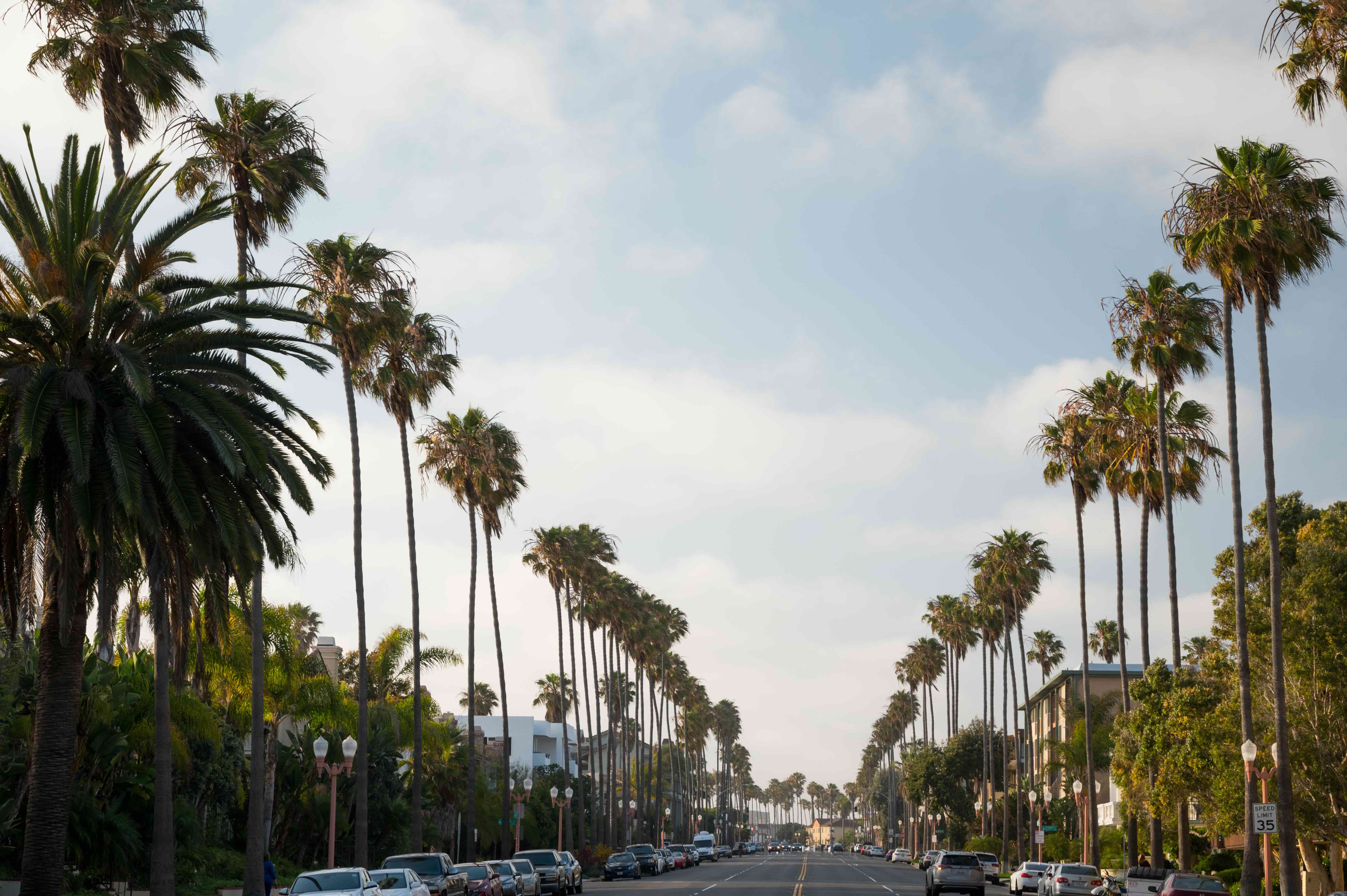 A Local’s Guide to Hidden Gems in Redondo Beach