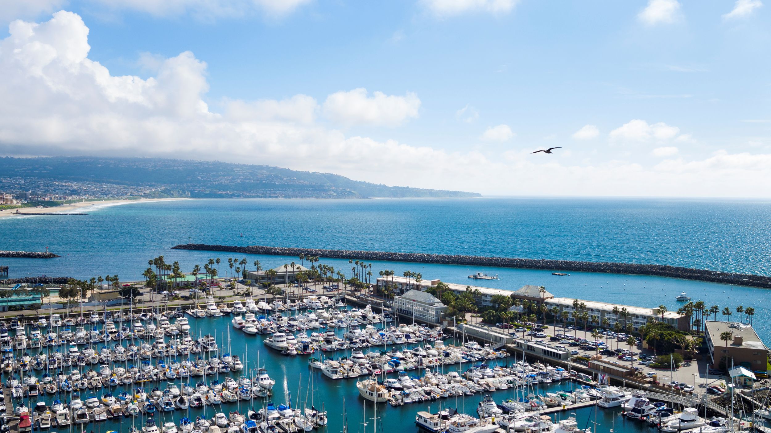 Discover Redondo Beach: Top 15 Things to Do