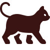 kittens for sale mornington peninsula, burmese kittens for sale in mandurah wa, burmese kittens for sale manchester, burmese kittens for adoption near me,