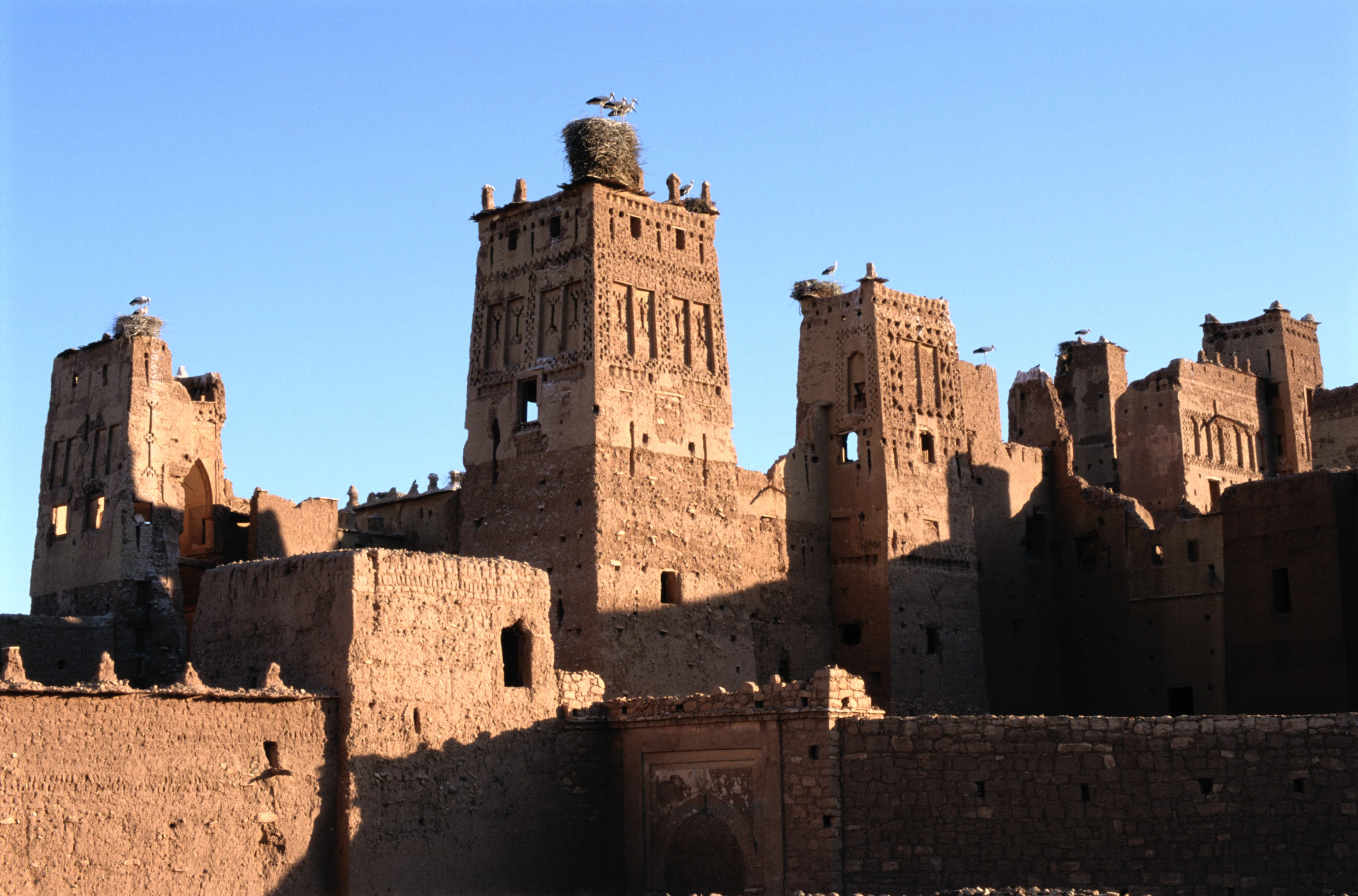 The massive, crumbling, reddish-brown mud-brick towers and walls of the Telouet Kasbah in Morocco are illuminated by sunlight against a clear blue sky. Several storks have built large nests atop the main central tower and surrounding battlements.