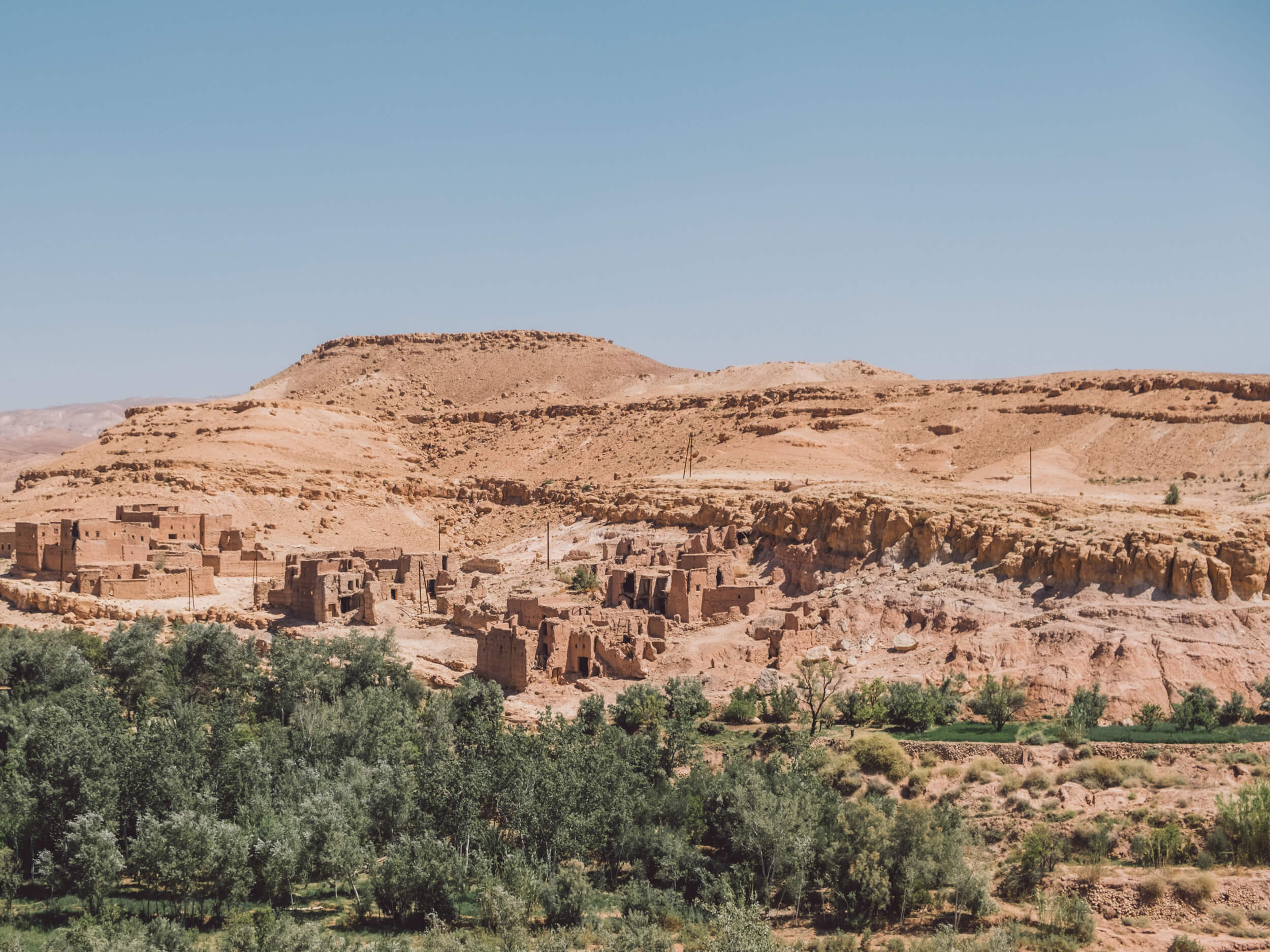 A wide view of the ancient mud-brick ruins and structures of Ait Benhaddou in Morocco, situated below a vast, flat-topped ochre-colored hill. In the foreground, a dense band of dark green olive trees and foliage separates the historic structure.