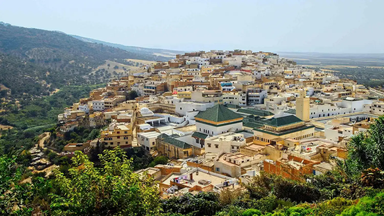 Densely packed Moroccan hillside old Medina of Meknes with white and yellow buildings