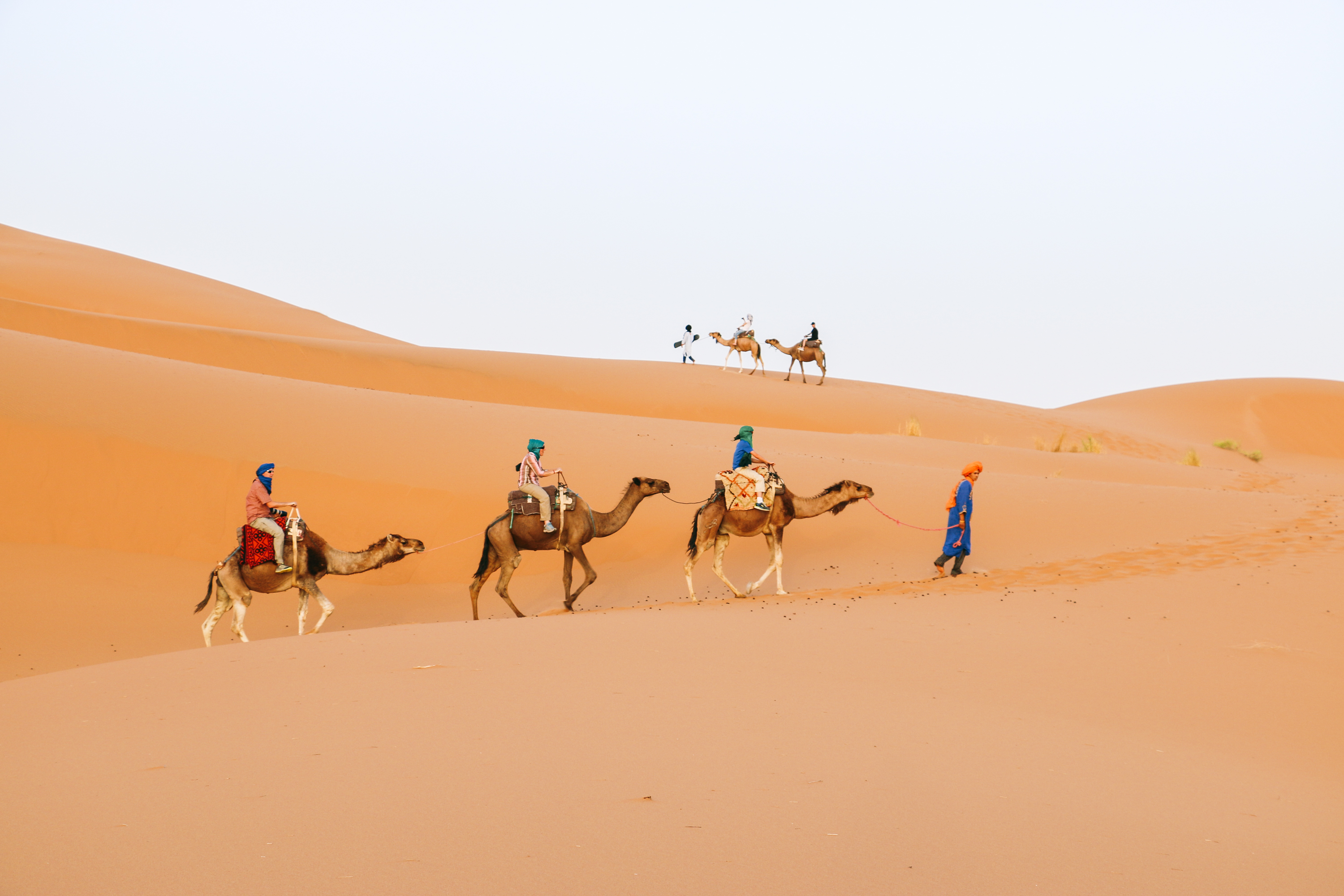 Camel caravan Guided Tour traveling across golden sand dunes in Erg Chebbi Merzouga desert landscape in Morocco during a tour with Moroccan Guides Travel