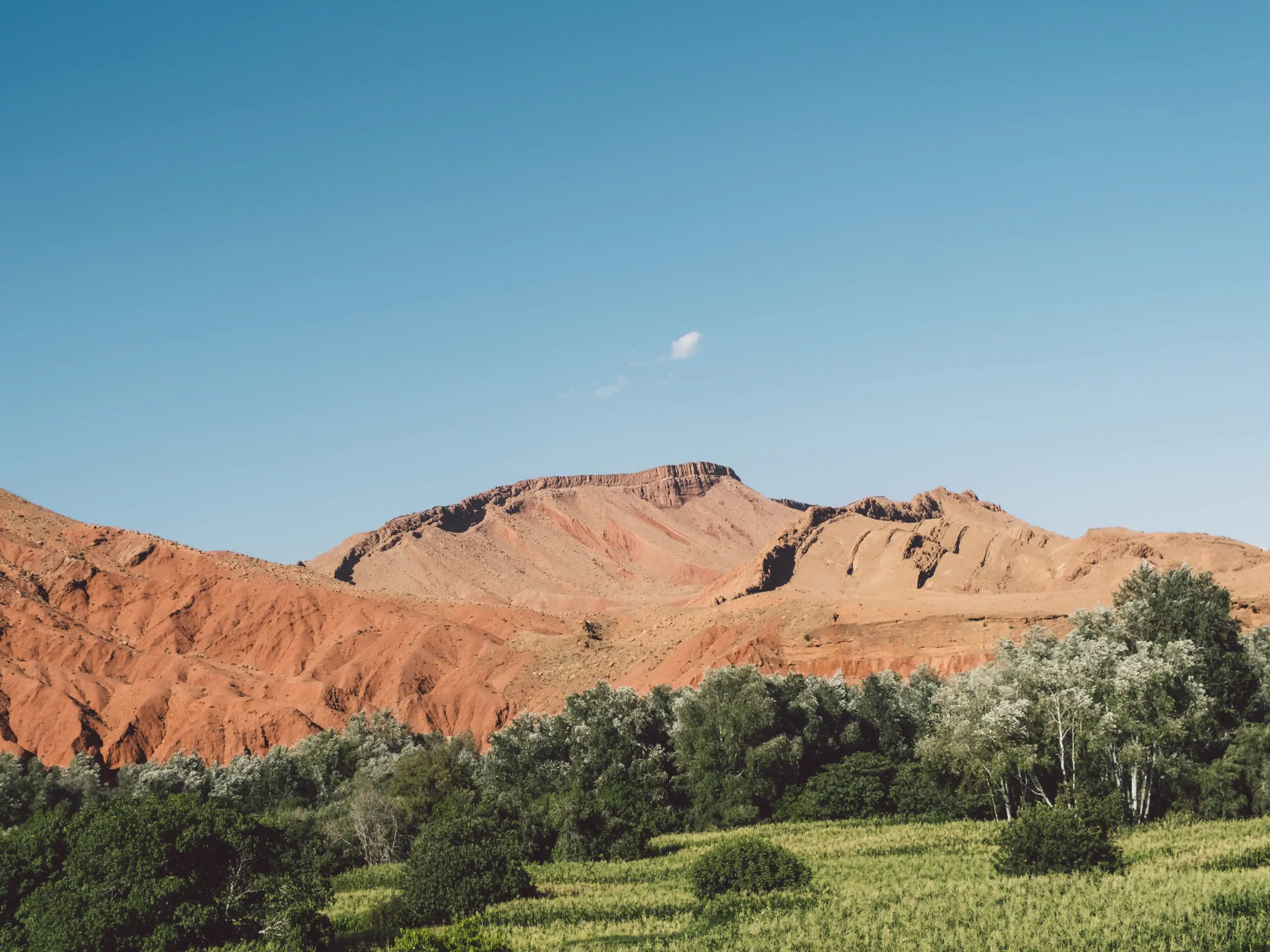 Red rocky mountains with green trees and clear blue sky landscape in the Dades Valley in Boumalne Dades