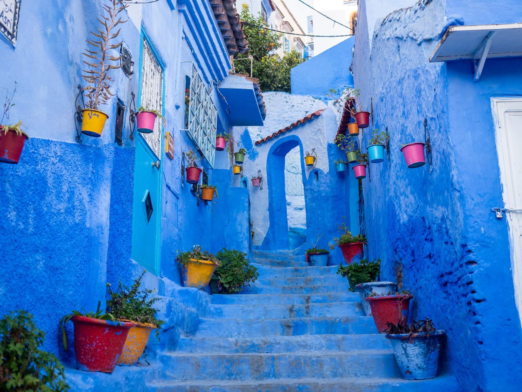 Blue-washed Chefchaouen Medina with colorful flower pots and stone stairs in Morocco during a tour with Moroccan Guides Travel