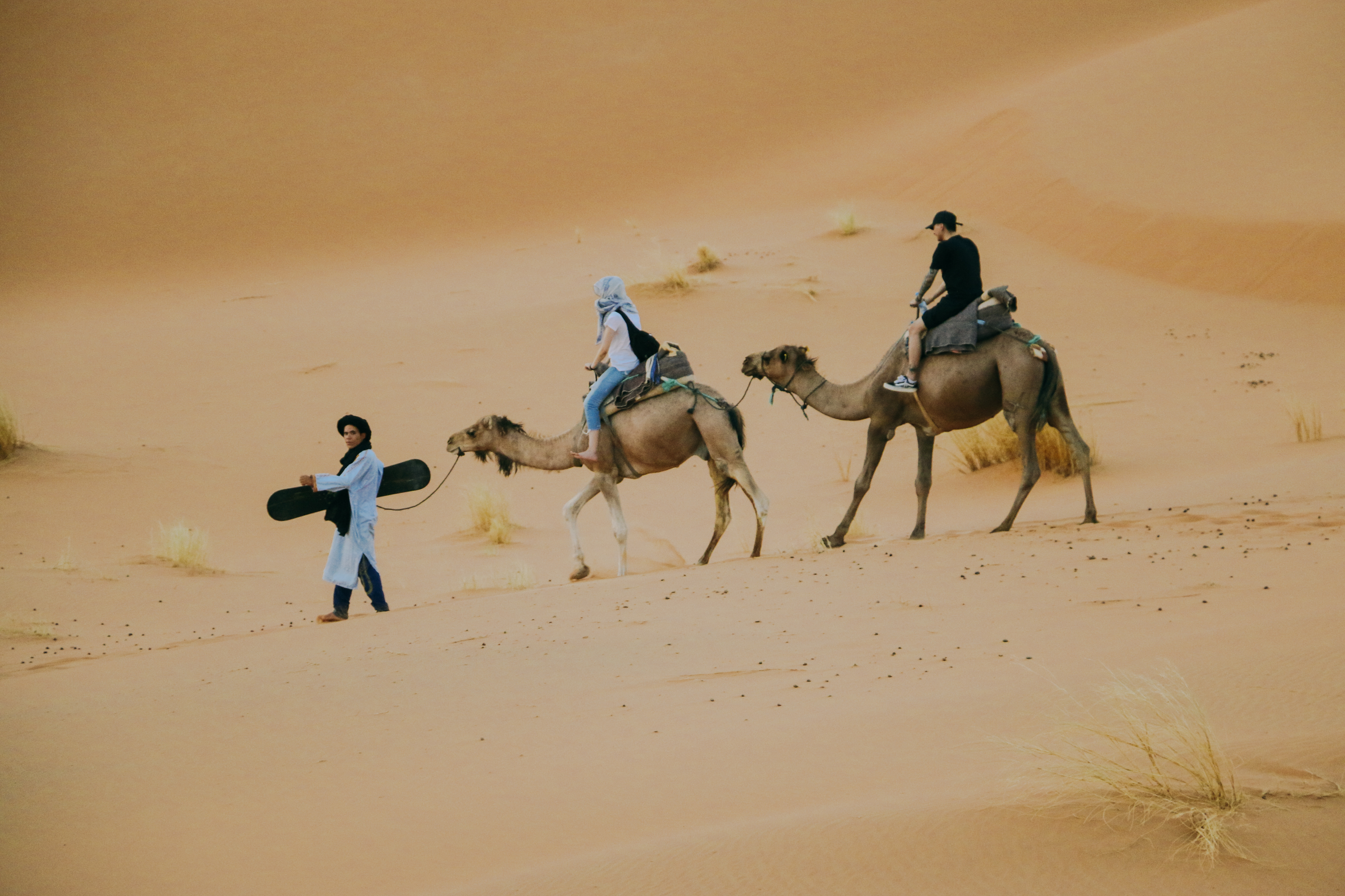 Camel caravan crossing sandy Merzouga desert in Morocco with riders and walking guide