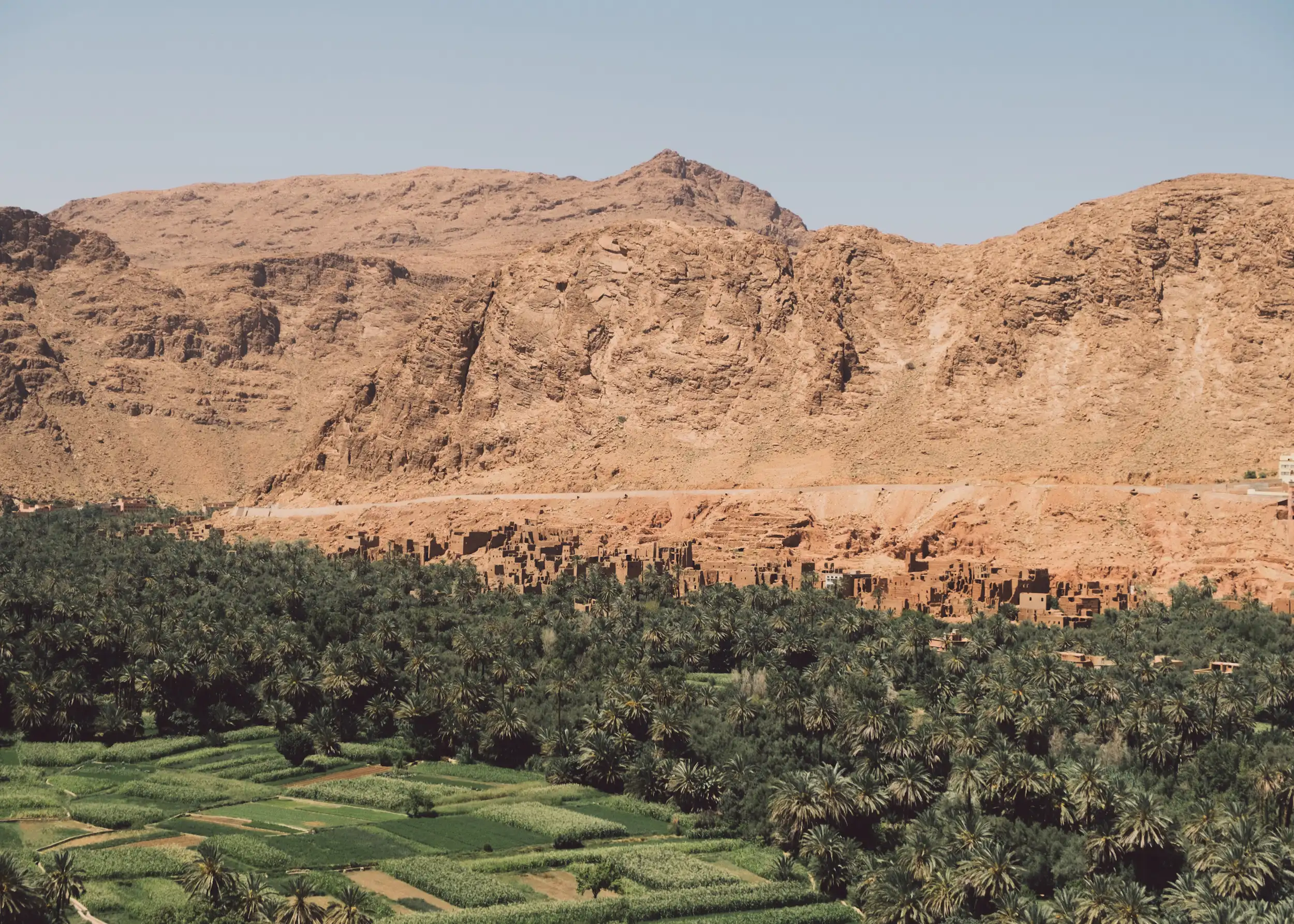 Green oasis of Tinghir in Tinghir in the South of Morocco with palm trees and mud buildings nestled among rocky desert mountains during a guided tour Moroccan Guides travel