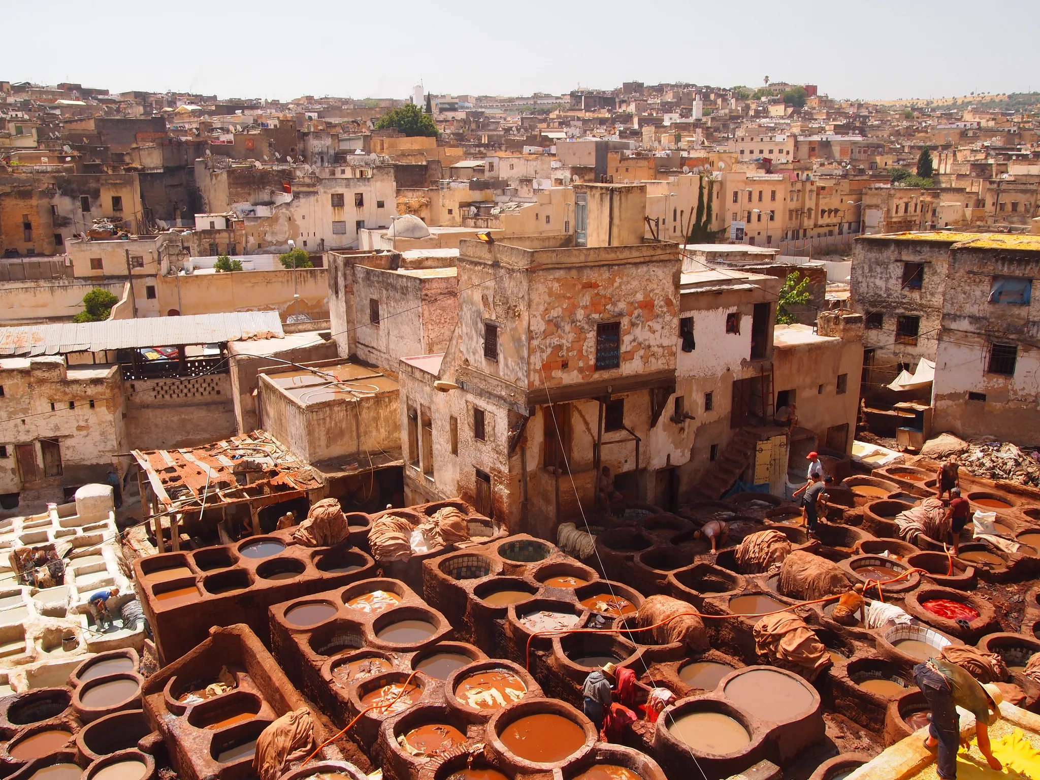 Guided Tour of Traditional Leather Tanneries in Fez, Morocco