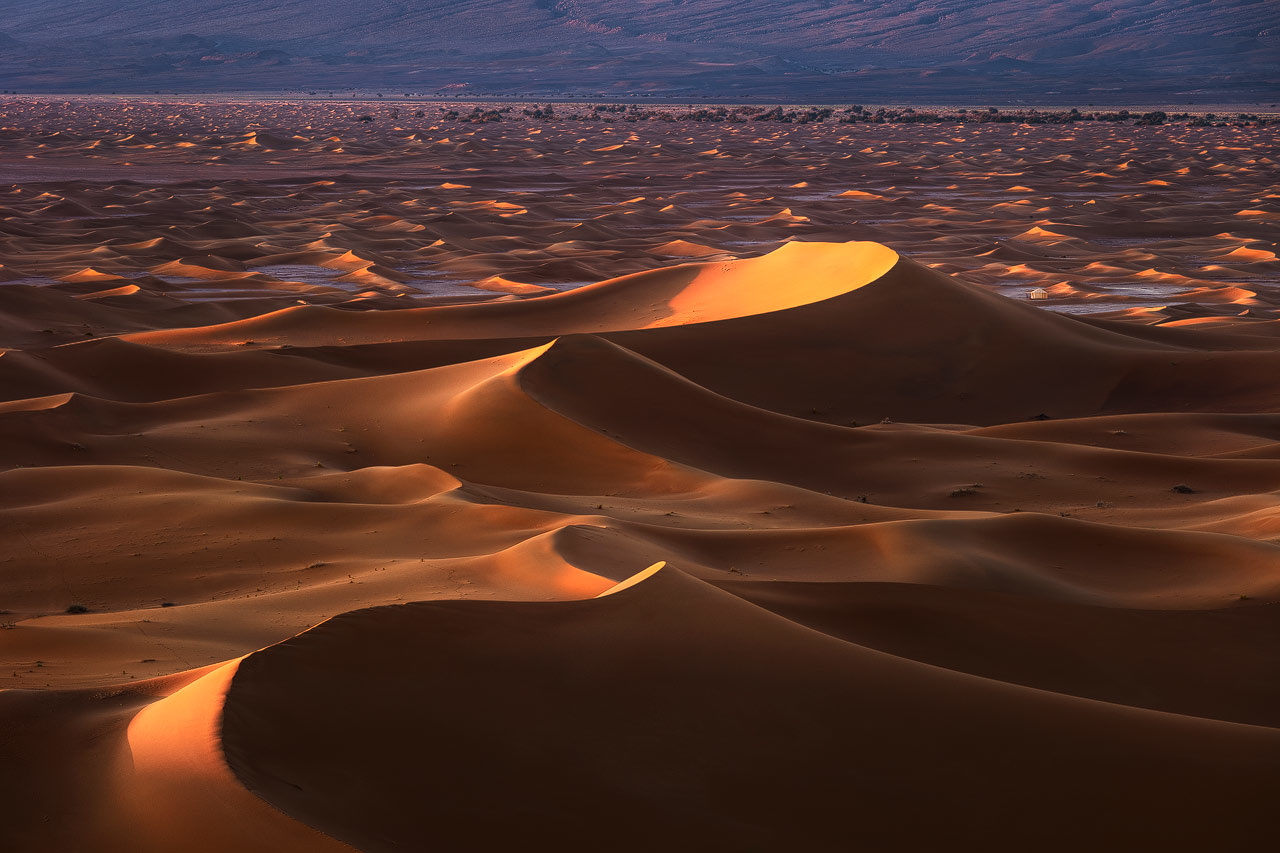 Golden sunrise illuminating vast merzouga desert sand dunes with mountain backdrop
