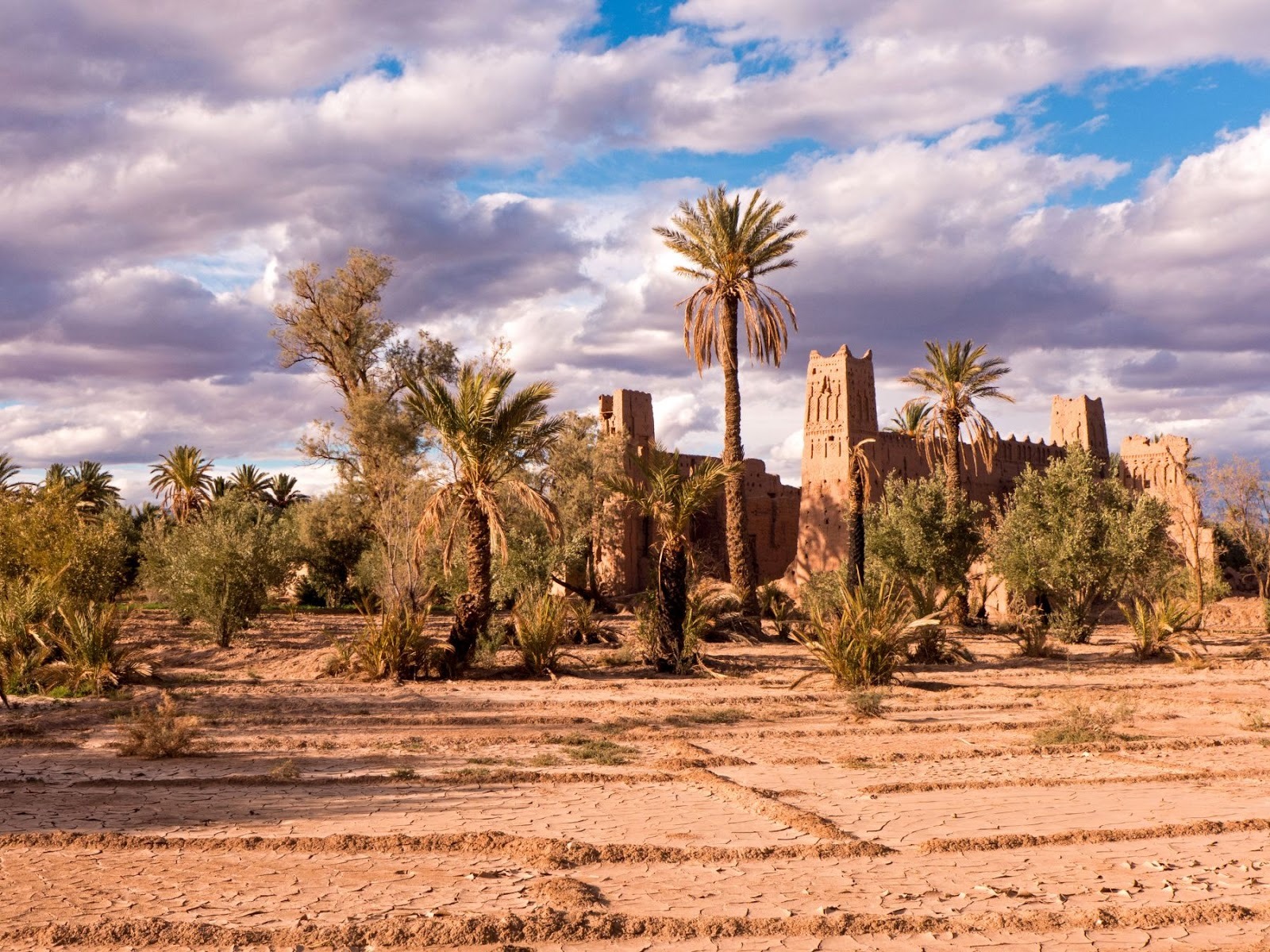 A palm oasis and fortress in the south of morocco's skoura in the south of Morocco during a trip with Moroccan Guides Travel