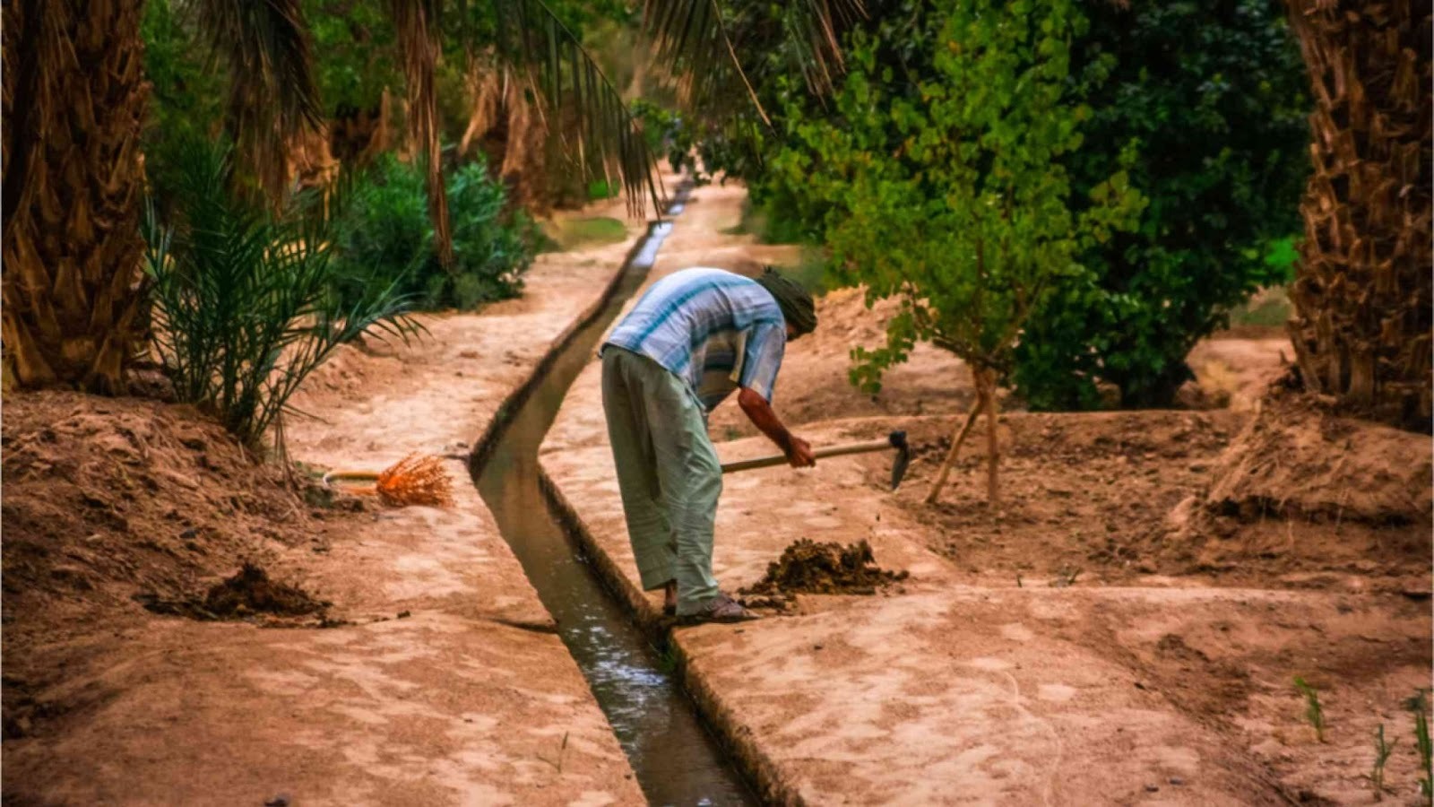 A farmer close to a small river in the middle in Skoura during a trip with Moroccan Guides Travel.