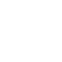 primary-btn__arrow