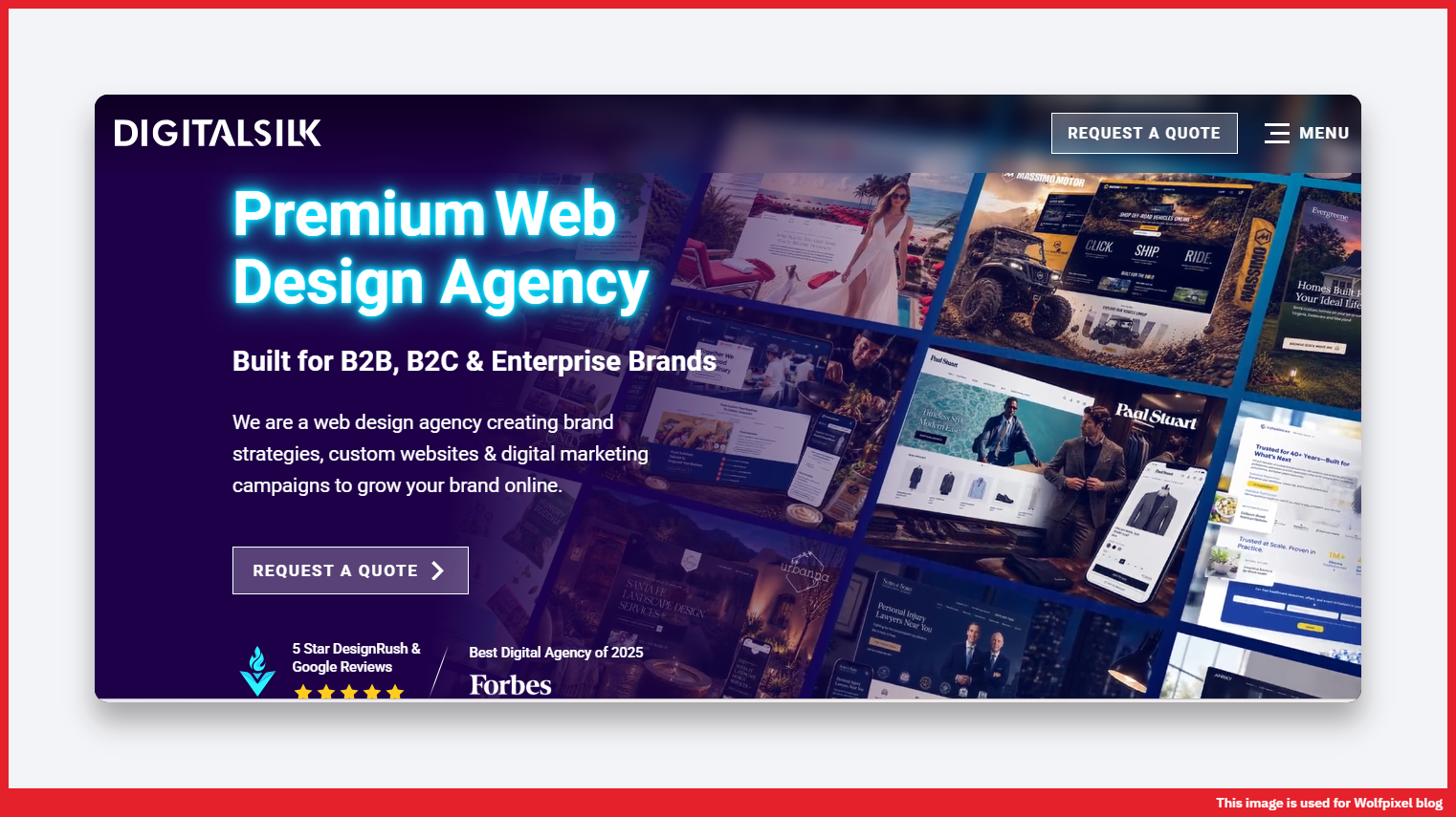Digital Silk B2B enterprise website example
