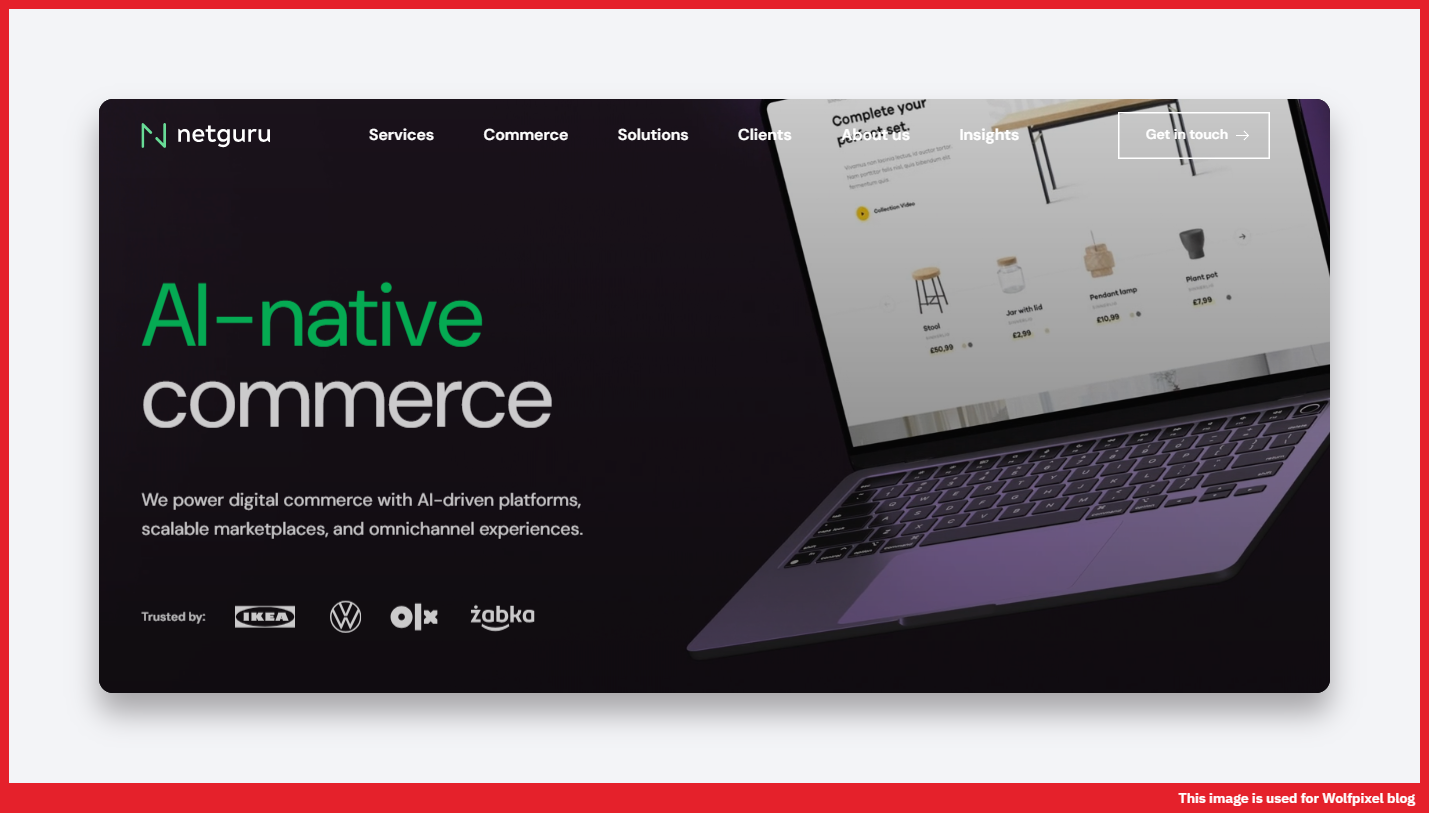 Netguru enterprise SaaS design and development case study