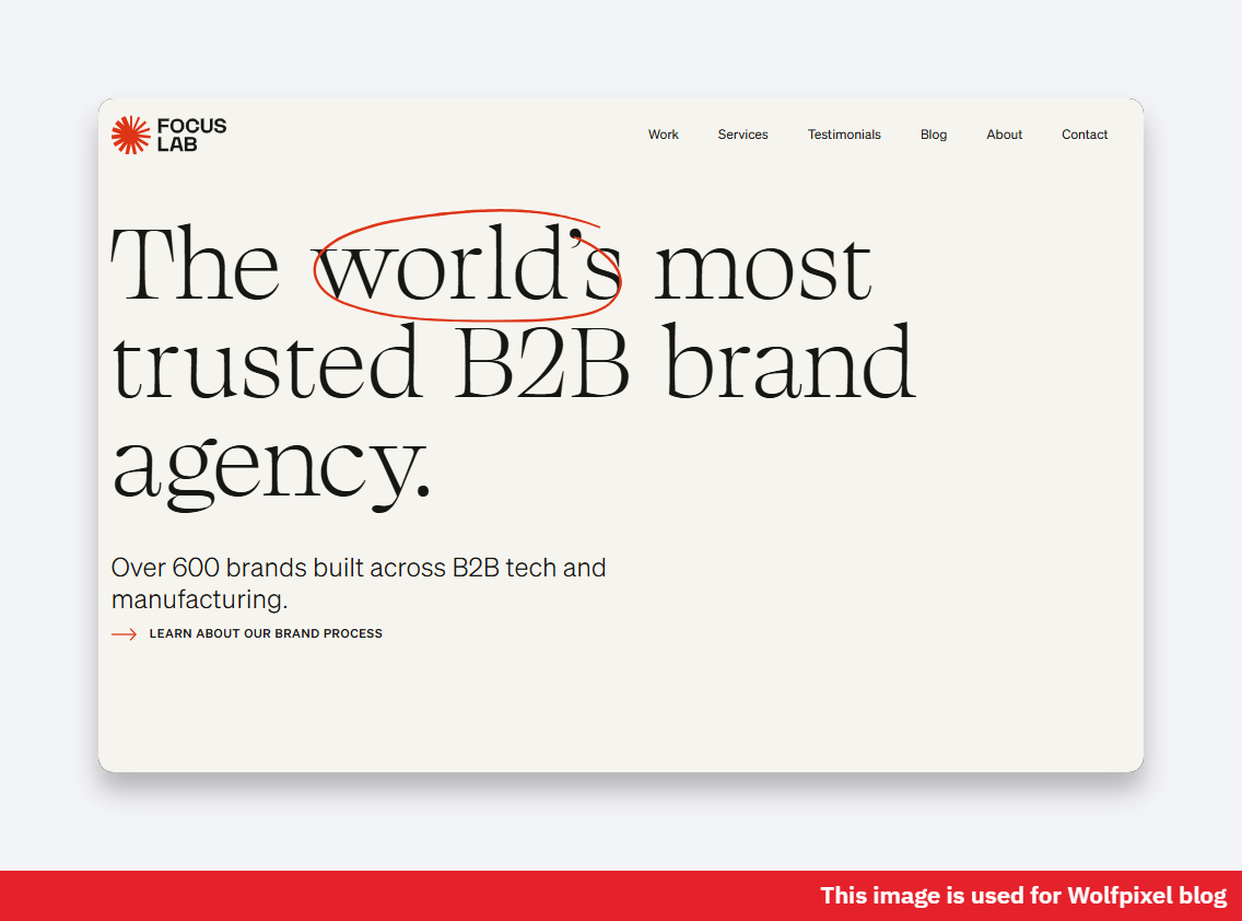 Focus Lab B2B branding work example