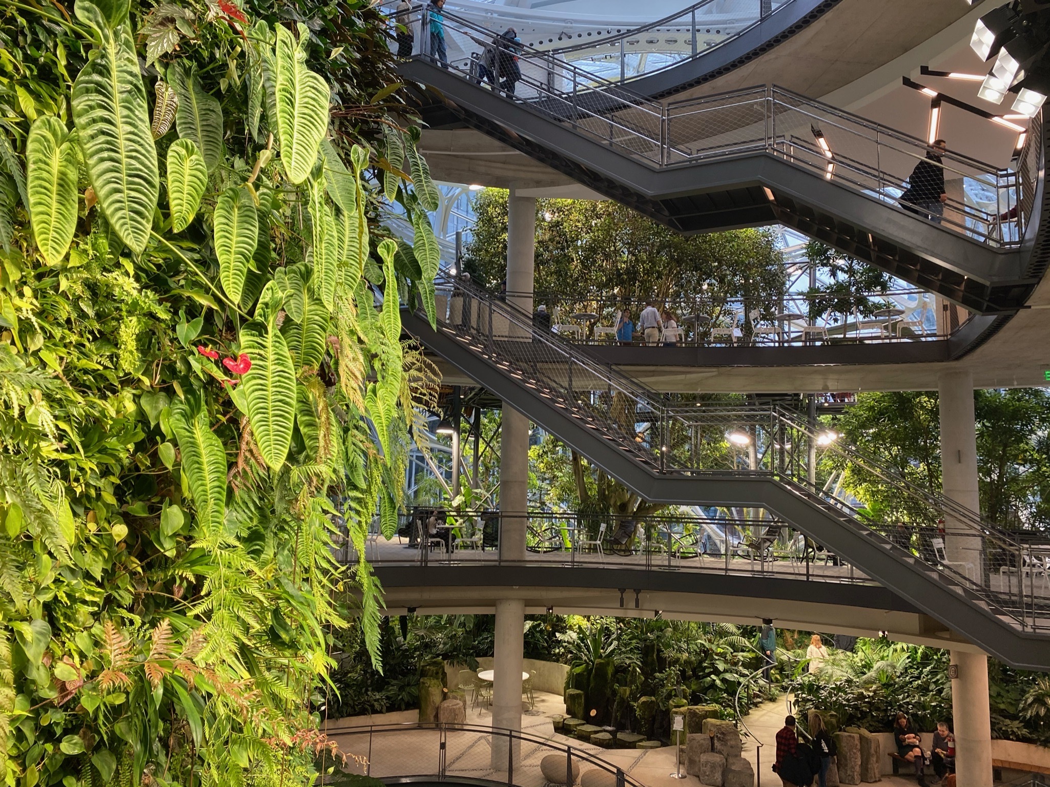 Walkable fire-rated skylight/floor by Greenlite Glass at AMAZON SPHERES, Seattle, WA.