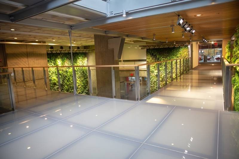 LITEFLAM walkable skylight installed on a rooftop plaza