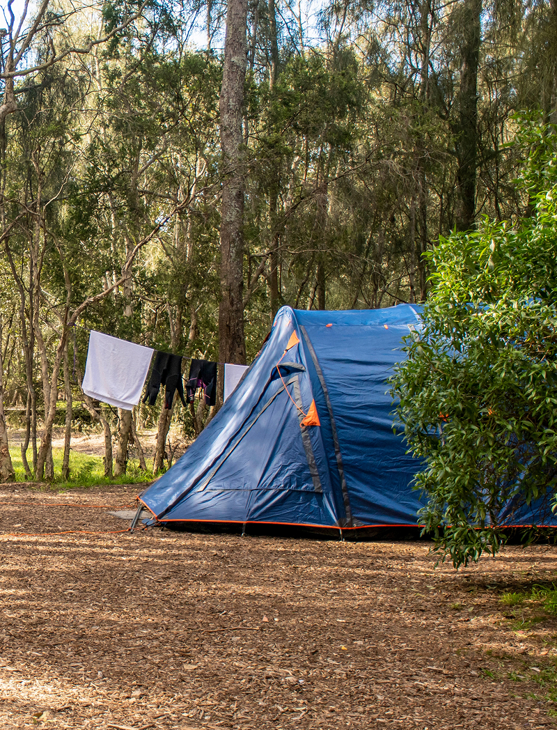 A rustic woodland campsite with a blue tent pitched on woodchips and a laundry line strung between the trees.