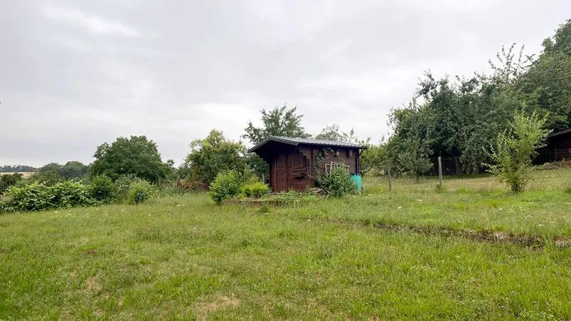 Ein grosser verwucherter Garten mit einem Gartenhaus, der von GRAVITAS geräumt wird.