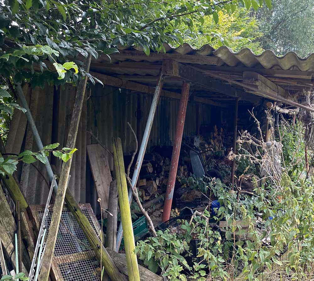 Ein verwucherter Gartenschuppen, der von GRAVITAS geräumt wird.