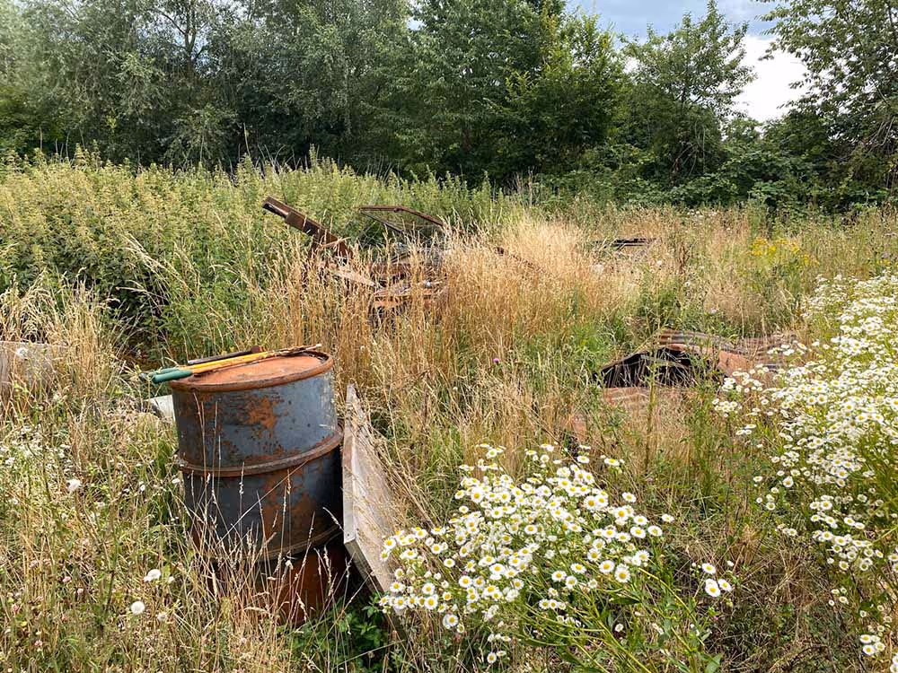 Eine grosse verwucherte Wiesenfläche von einem Garten, der von GRAVITAS geräumt wird.