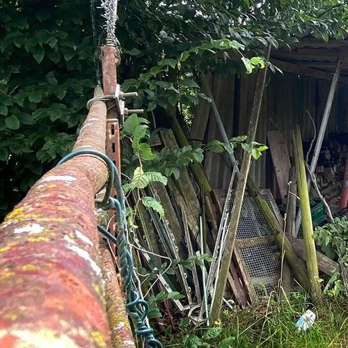 Ein verwucherter Garten, der von GRAVITAS geräumt wird.