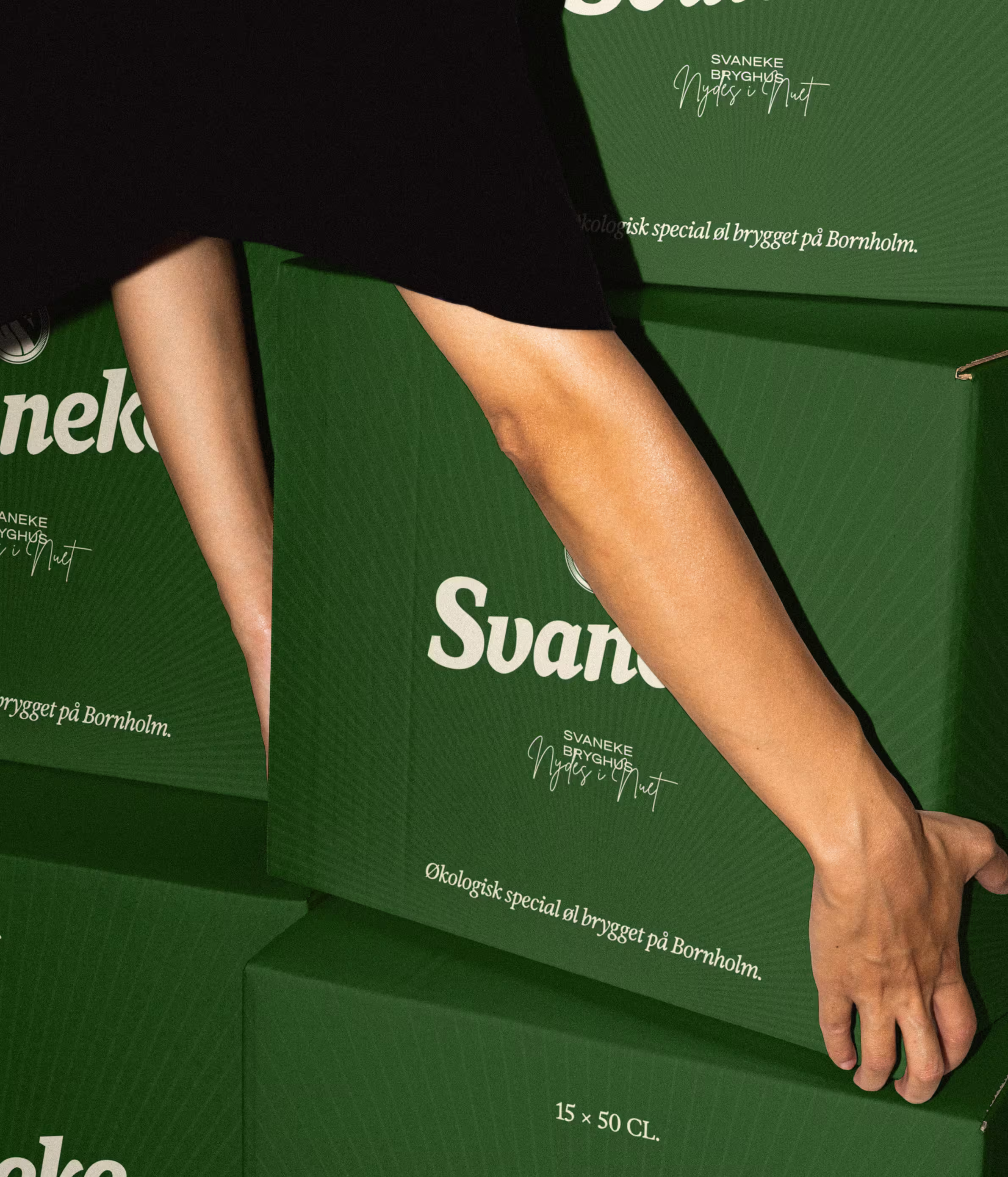 Beer boxes packaging