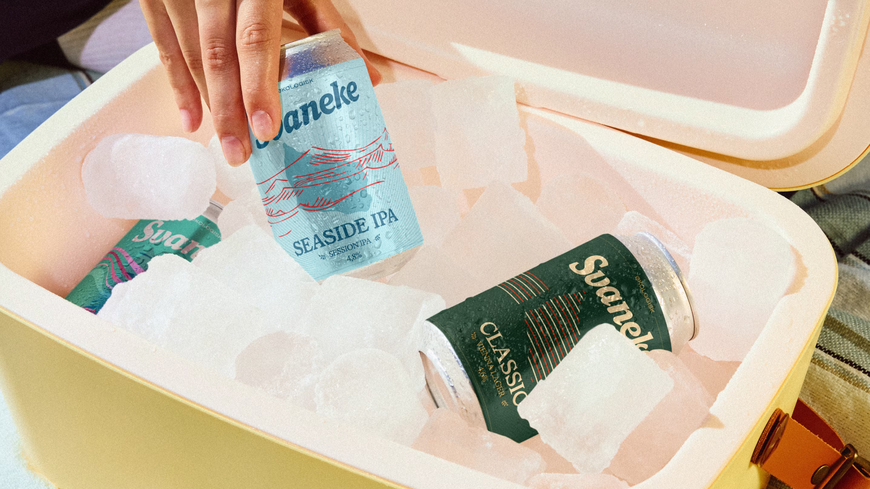 Beer cans in a cooler