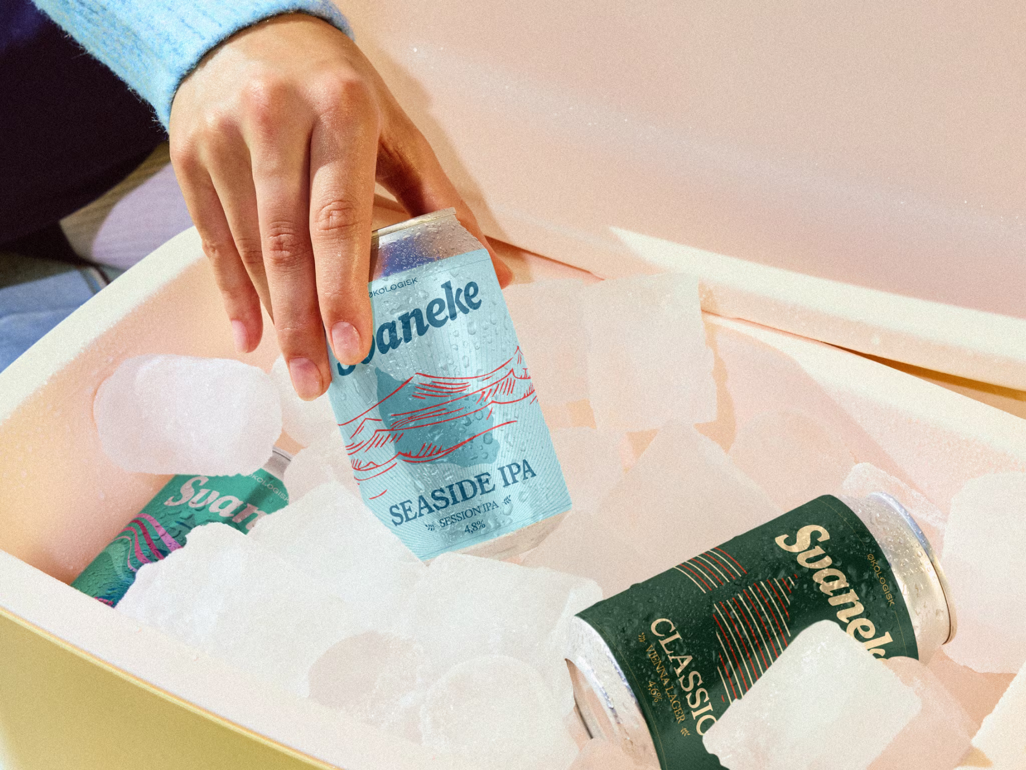 Beer cans in a cooler