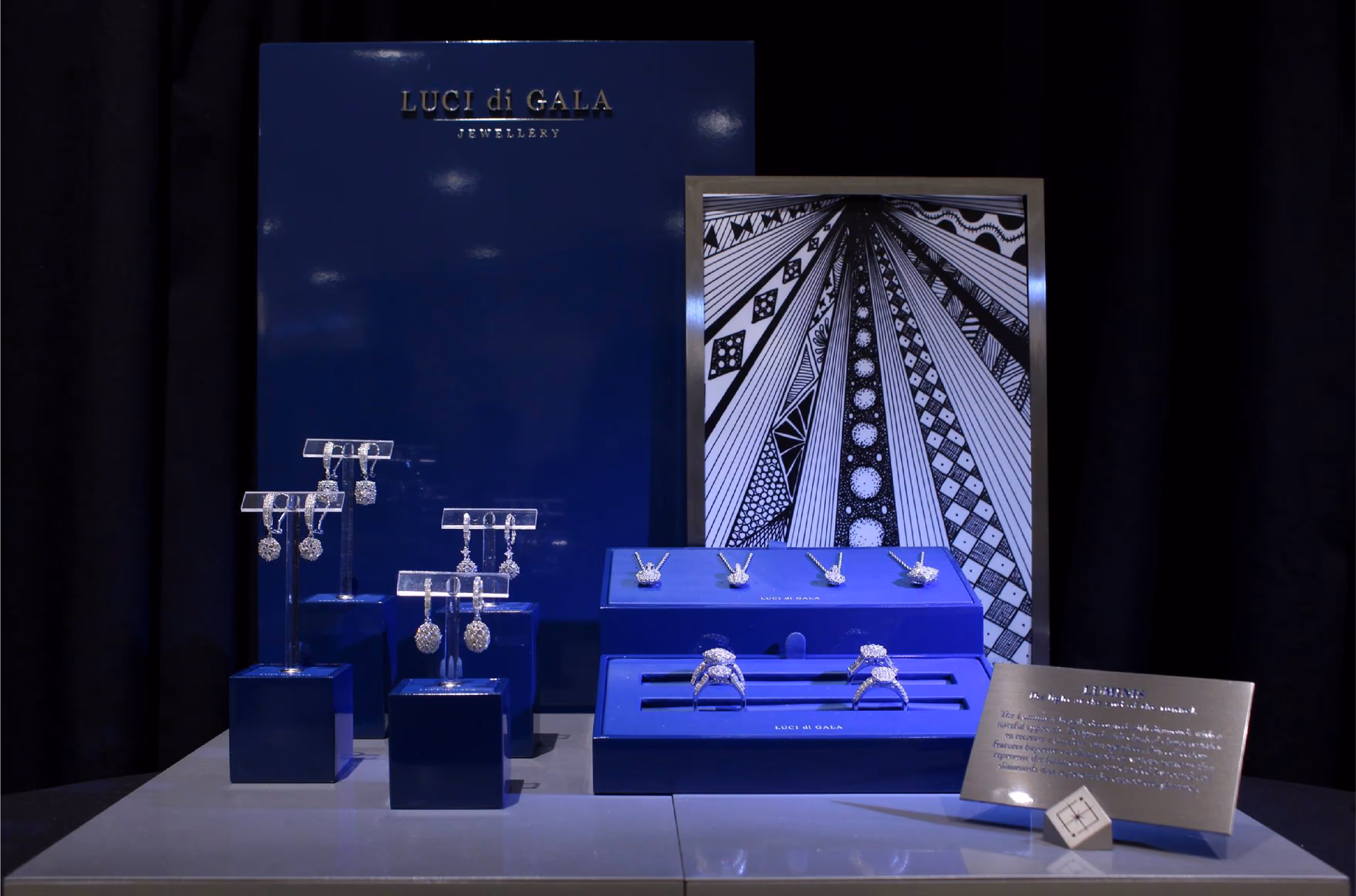 Display of silver earrings and rings with diamonds on blue stands labeled LUCI di GALA jewellery, with a black and white geometric art piece in the background.