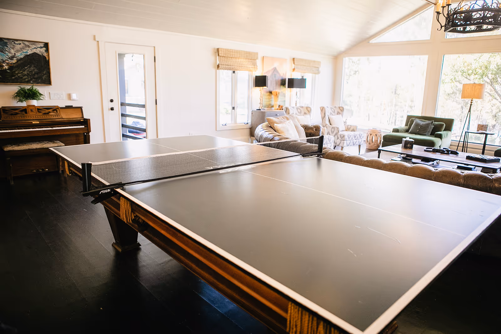 ark on lake lanier ping pong amenity