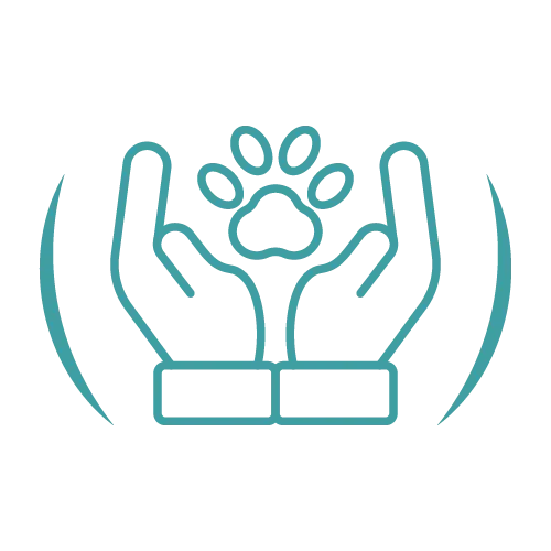 Teal veterinary line icon set.