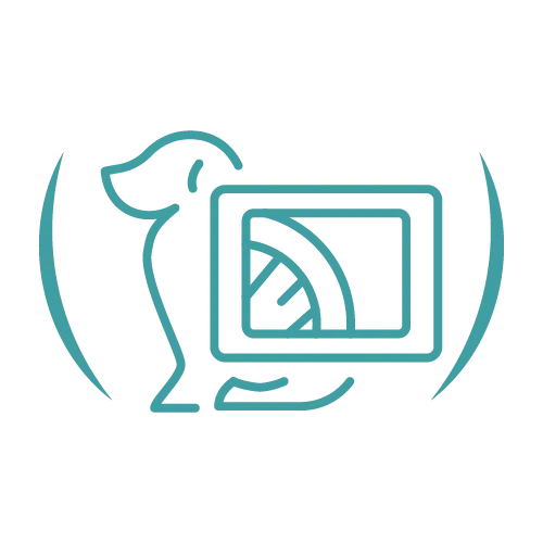 Teal veterinary line icon set.