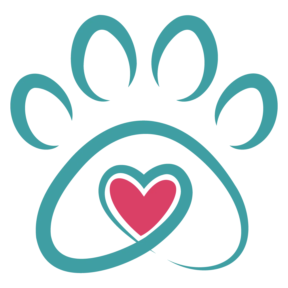 Teal circular pattern graphic.