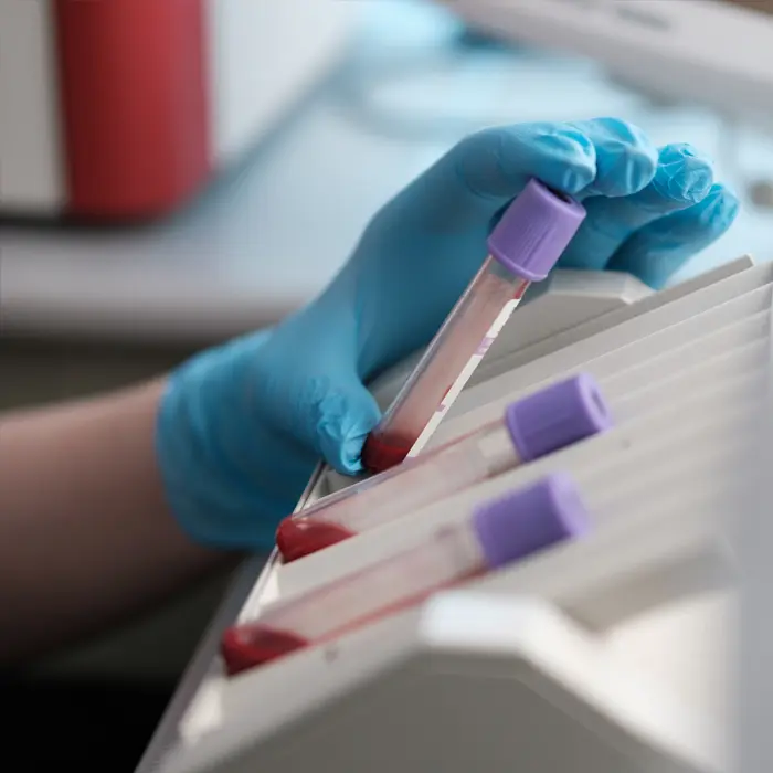 Vet drawing a blood sample from a dog.