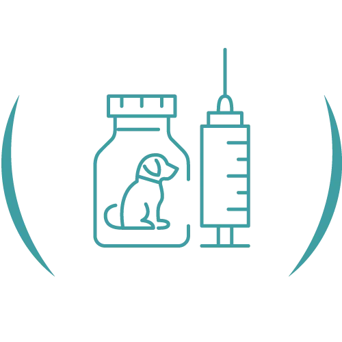 Teal veterinary line icon.
