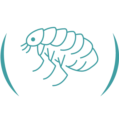 Teal veterinary line icon.