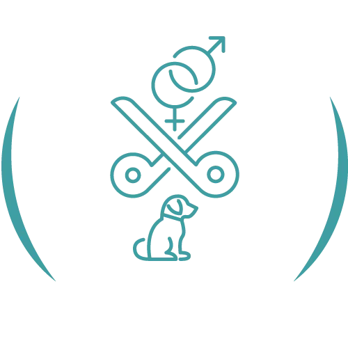 Teal veterinary line icon.