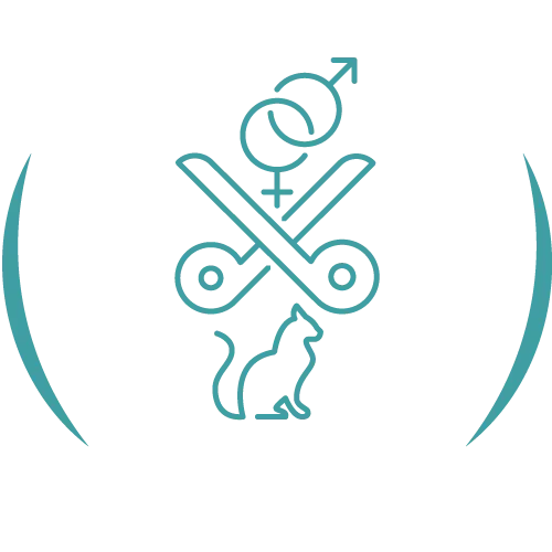 Teal veterinary line icon.