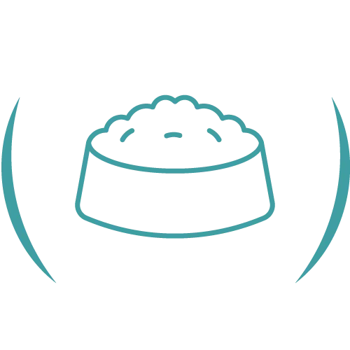 Teal veterinary line icon.