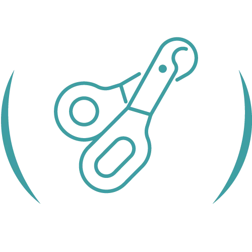 Teal veterinary line icon.