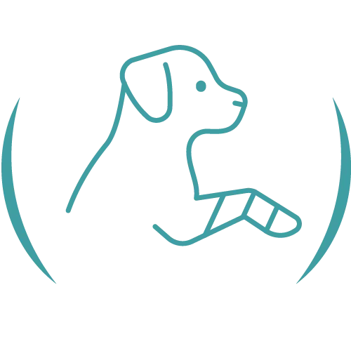 Teal veterinary line icon.