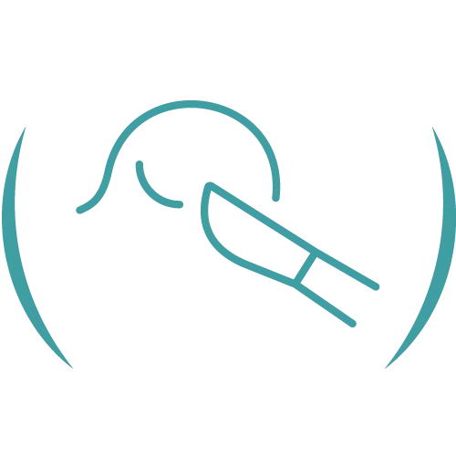 Teal veterinary line icon.
