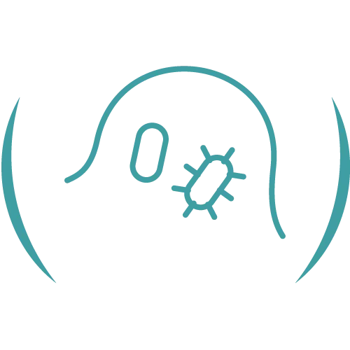 Teal veterinary line icon.