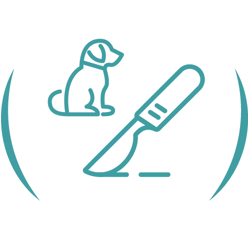 Teal veterinary line icon.