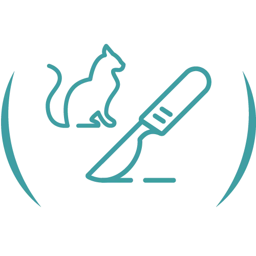 Teal veterinary line icon.