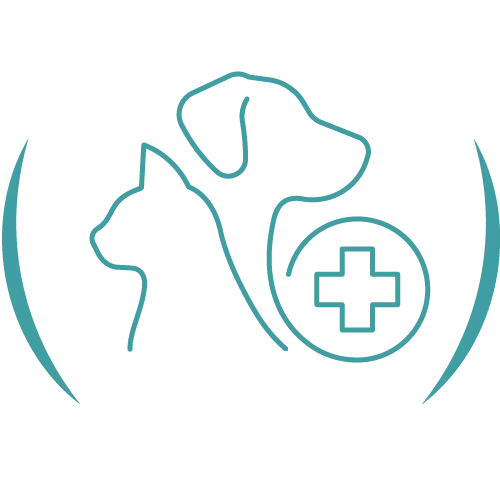 Teal veterinary line icon.
